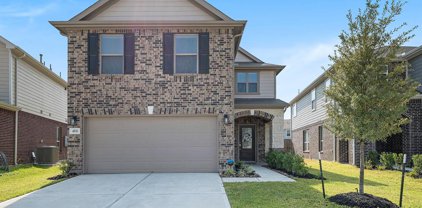 4811 Ranleagh Court, Katy
