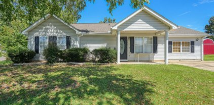 907 Veryfine Drive, Fountain Inn