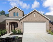 3211 Montclair Orchard Trace, Spring image