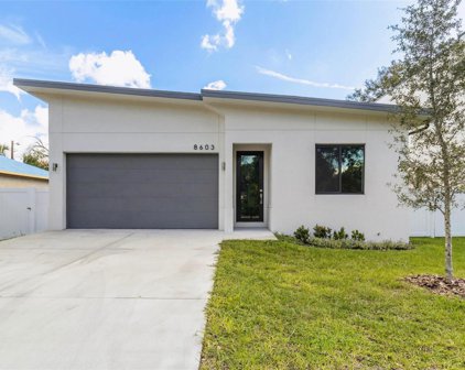 8603 N Seminole Avenue, Tampa