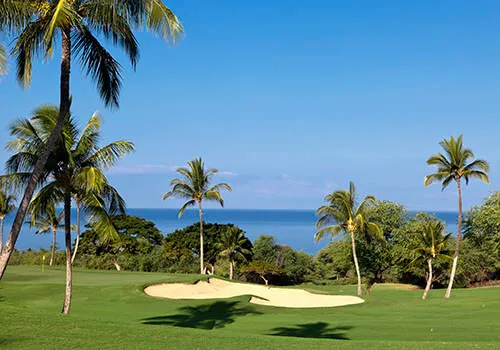 Golf Course Properties for Sale or Rent