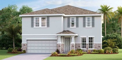 33547 Field Maple Loop, Wesley Chapel