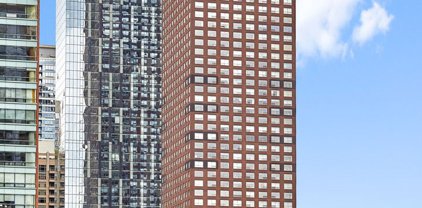 474 N Lake Shore Drive Unit #5801, Chicago