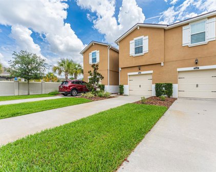 17849 Althea Blue Place, Lutz