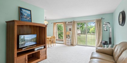 908 9th Avenue S Unit #6, Hopkins