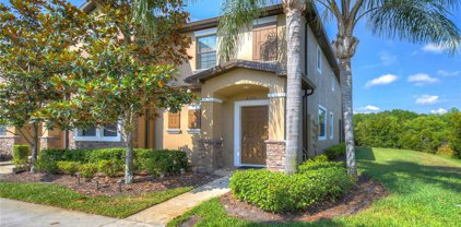 4208 Fennwood Court, Wesley Chapel