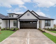 10102 Native Grove Drive, Missouri City image