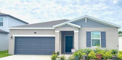 29467 Caspian Street, Leesburg