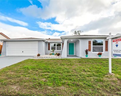 5808 Consuello Drive, Holiday
