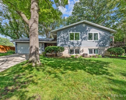 2917 Tyler Court, Woodridge