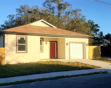 4236 E Emma Street, Tampa