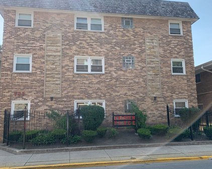 205 Circle Avenue Unit #1B, Forest Park