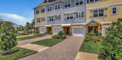 4143 Rocky Shores Drive, Tampa
