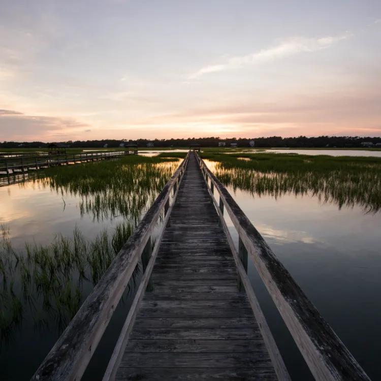 PAWLEYS ISLAND