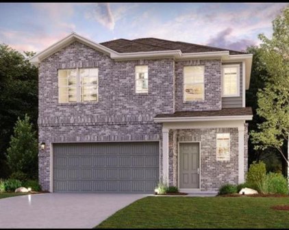 12228 Lady Eli Drive, Willis