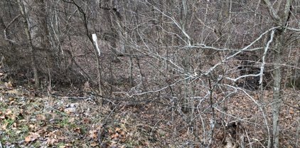 Lot 1 Alum Springs, Rixeyville