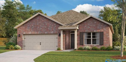 26378 Nash Lane, Athens