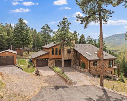 6997 Skunk Alley, Evergreen