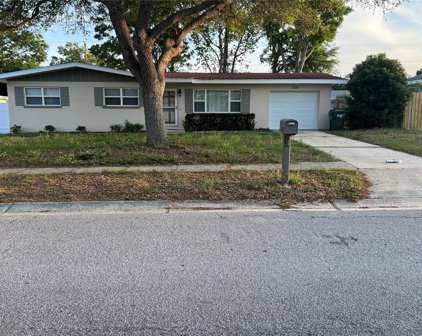 1325 Chesterfield Drive, Clearwater
