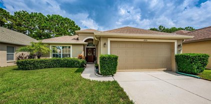 2650 Hawk Roost Court, Holiday