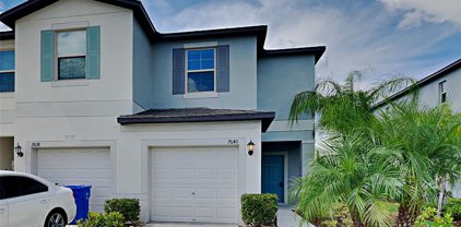 7640 Ginger Lily Court, Tampa
