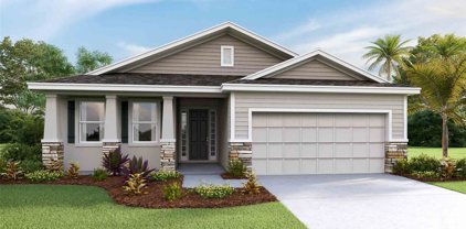 33628 Garden Sage Isle, Wesley Chapel