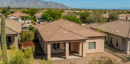 4998 W Desert Chicory, Marana