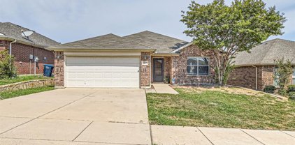 3805 Verde  Drive, Fort Worth
