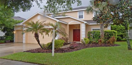 14804 Heronglen Drive, Lithia