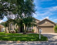 4310 Orange Ridge Court, Valrico image