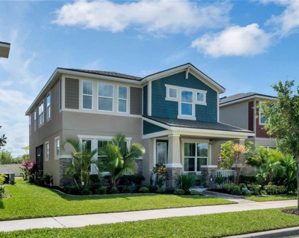 16286 Taliesin Street, Winter Garden