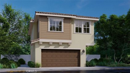 803 Starry Night, Upland