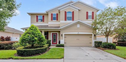 2127 Valterra Vista Way, Valrico