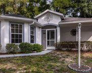 19149 Sw 101st Street, Dunnellon image