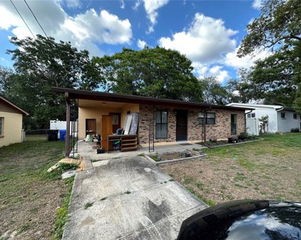 7012 Conifer Drive, Tampa