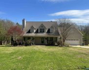 380 Beard Road, Guntersville image