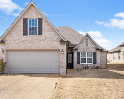 7873 Park Valley Drive, Southaven