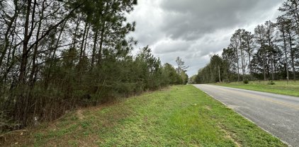 Tract#6201 8 Mile Cemetery Road Unit #SN, Defuniak Springs