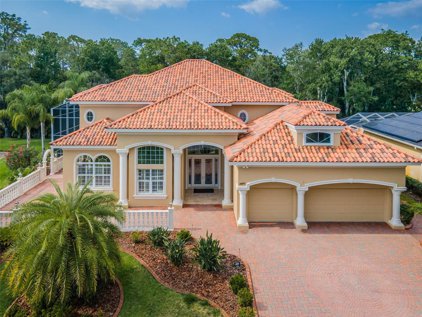 3811 Mullenhurst Drive, Palm Harbor