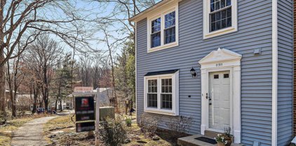 11511 Ivy Bush Ct, Reston