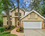 13103 Greengage Lane, Tampa image