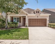 8109 Champions Forest Way, Tampa image