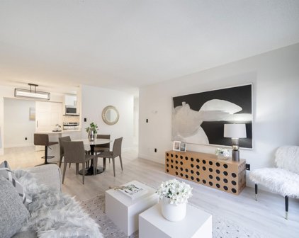 170 E 3rd Street Unit 114, North Vancouver