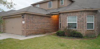 1210 Diamond Drape Drive Drive, Iowa Colony