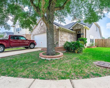 10202 Middleglen Lane, Houston
