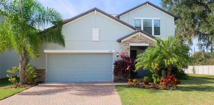 4699 Chadmore Court, Wesley Chapel