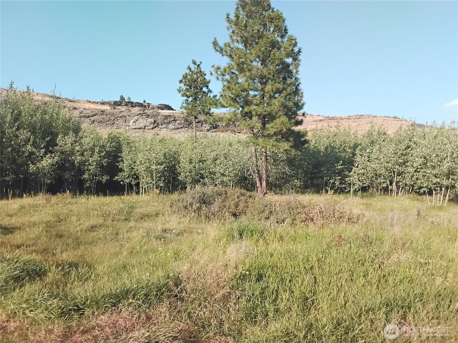 4 Painted Rock Road, Tonasket | MLS# 2457118 | Skyline Properties, Inc ...