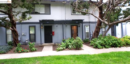 1376 Tree Garden Pl, Concord
