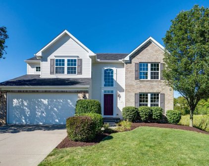 4645 Cobblestone Park Drive, Medina