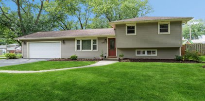 6170 Chase Avenue, Downers Grove